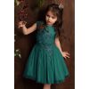 Tiulowa sukienka z koronką dla dziewczynki model Lidia - kolory 11
