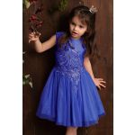 Tiulowa sukienka z koronką dla dziewczynki model Lidia - kolory 10
