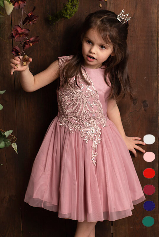 Tiulowa sukienka z koronką dla dziewczynki model Lidia - kolory